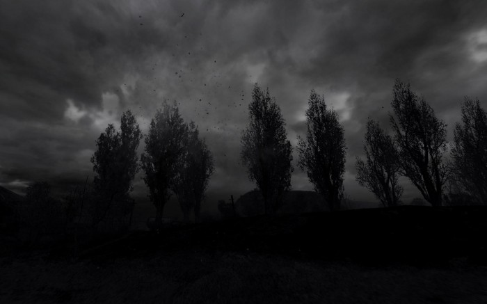 dark trees.jpg (110 KB)